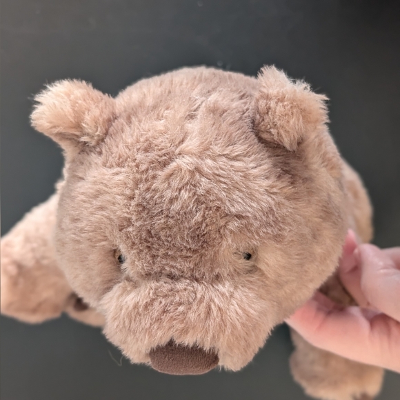 Jellycat | Wonda Wombat Plush Toy - Picture 14 of 15